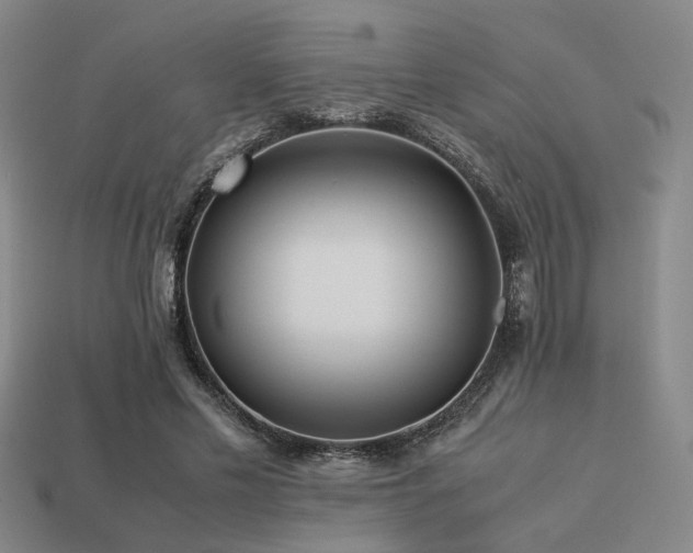 X0000113220589200909101152