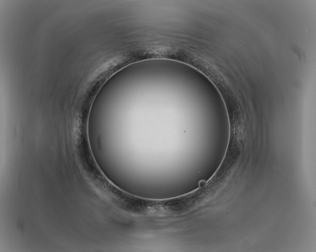 X0000113220591200909101152