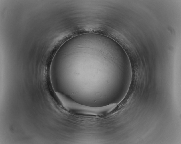 X0000113220592200909101152