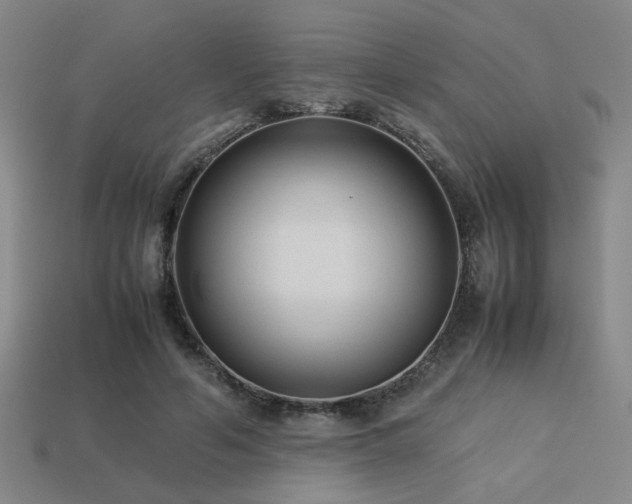 X0000113220594200909101152