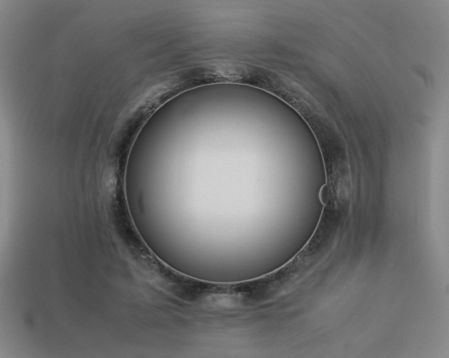 X0000113220595200909101151