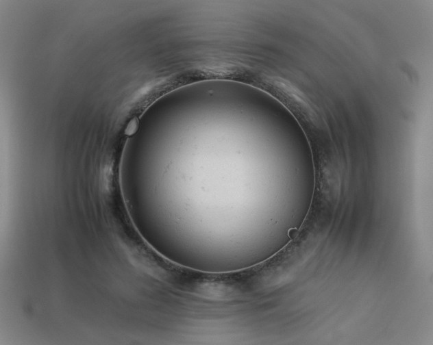 X0000113220596200909101151