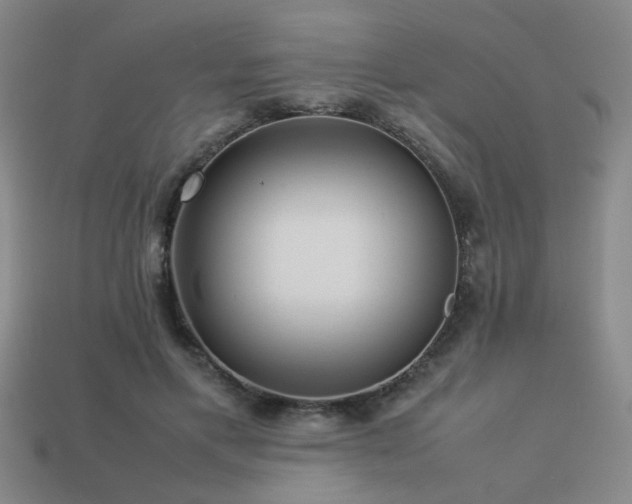 X0000113220597200909101151