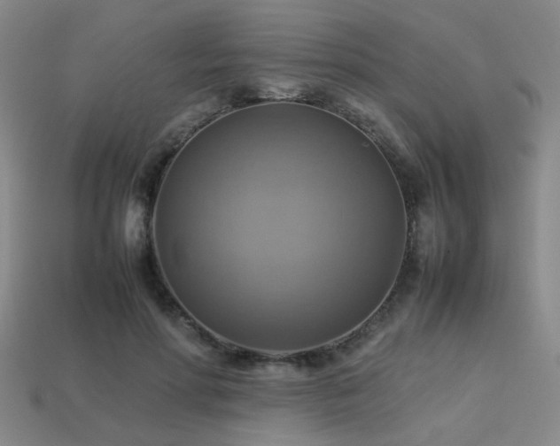 X0000113220598200909101151