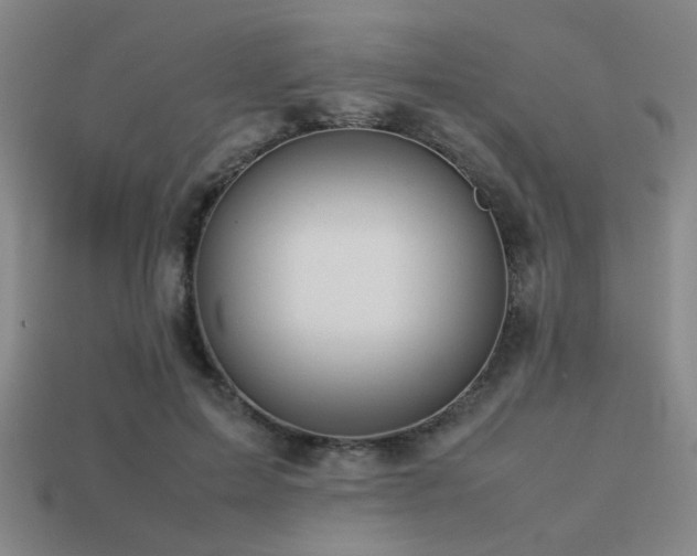 X0000113220599200909101151