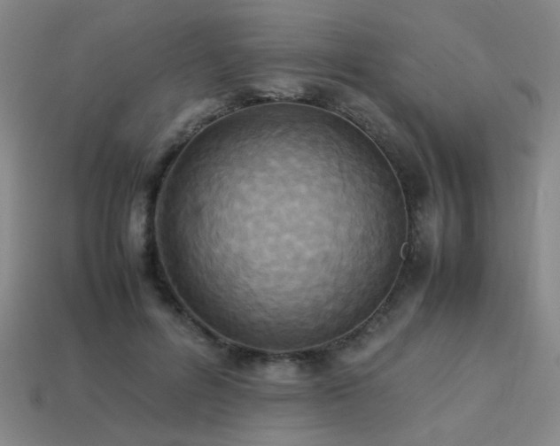 X0000113220600200909101151
