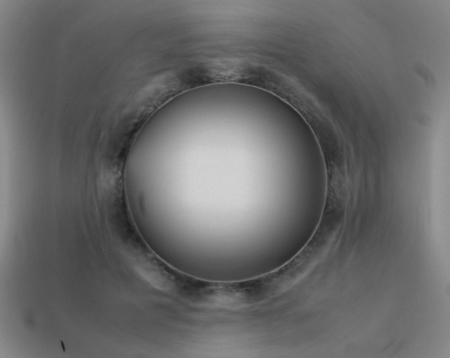 X0000113220601200909101151