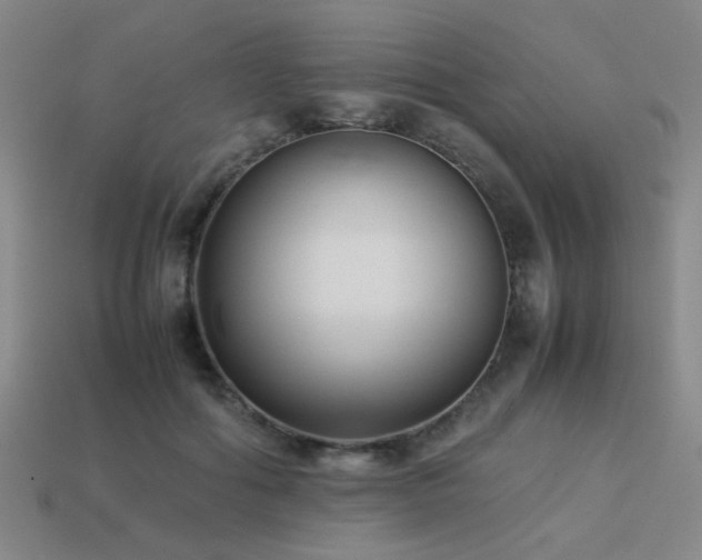 X0000113220602200909101151