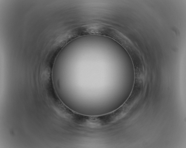 X0000113220603200909101151