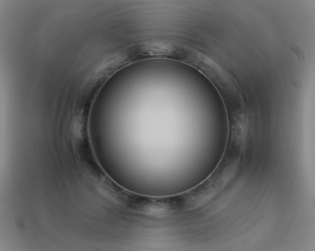 X0000113220604200909101151