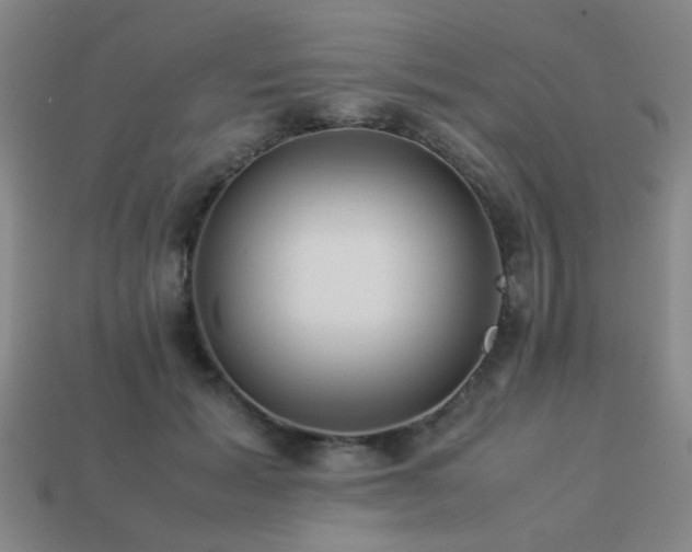 X0000113220605200909101151