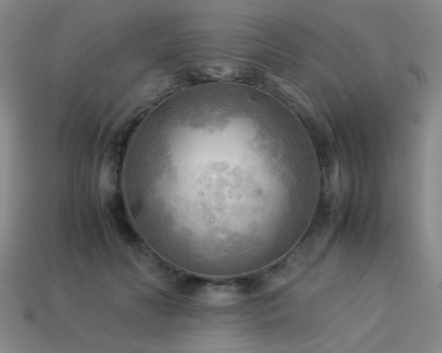 X0000113220606200909101151