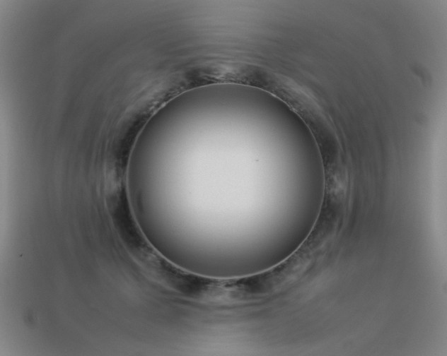 X0000113220607200909101151