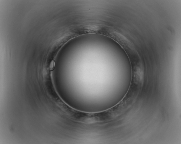X0000113220608200909101151