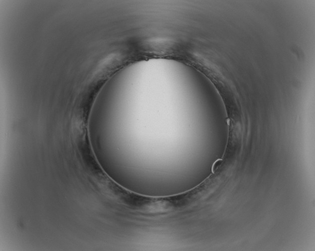 X0000113220609200909101151