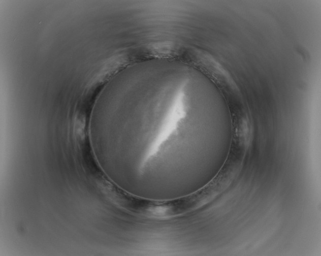 X0000113220610200909101151