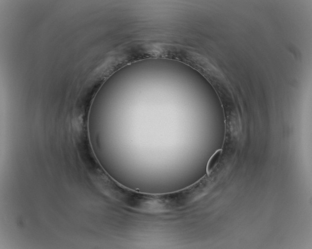 X0000113220611200909101151