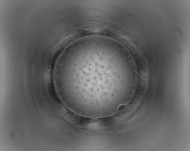 X0000113220612200909101151