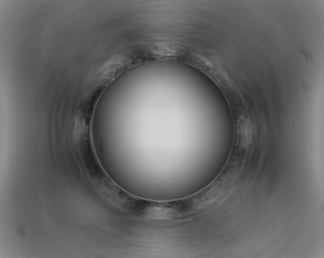 X0000113220614200909101151