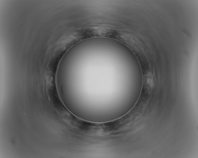 X0000113220615200909101151