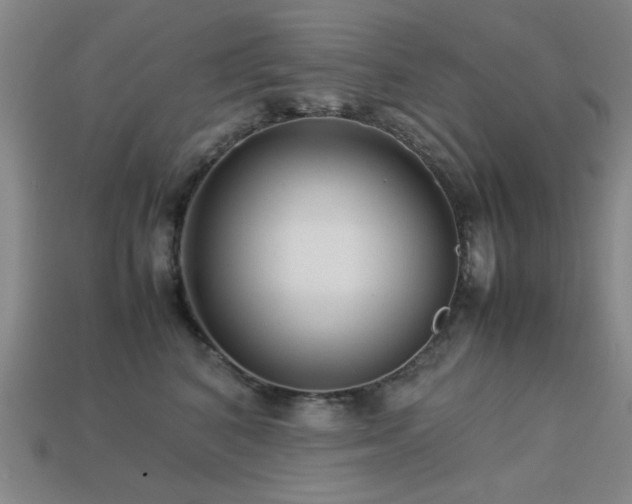 X0000113220616200909101151