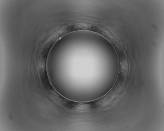 X0000113220617200909101151