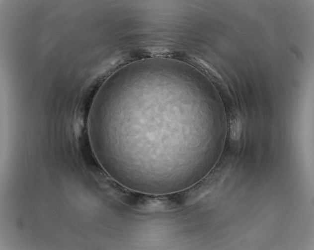 X0000113220618200909101151