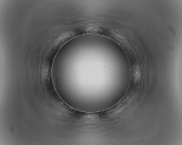 X0000113220619200909101151