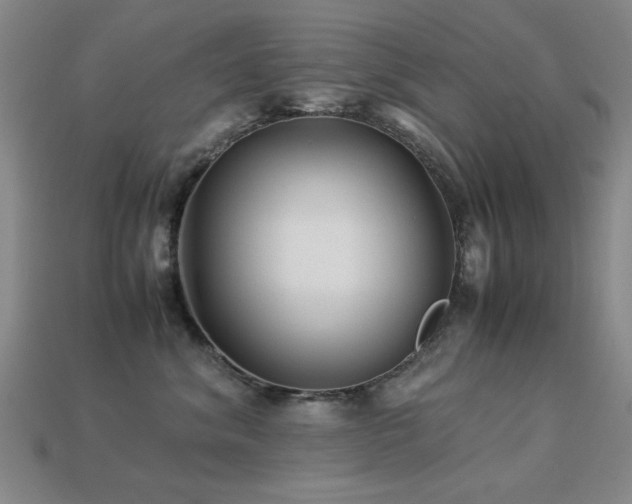 X0000113220620200909101151