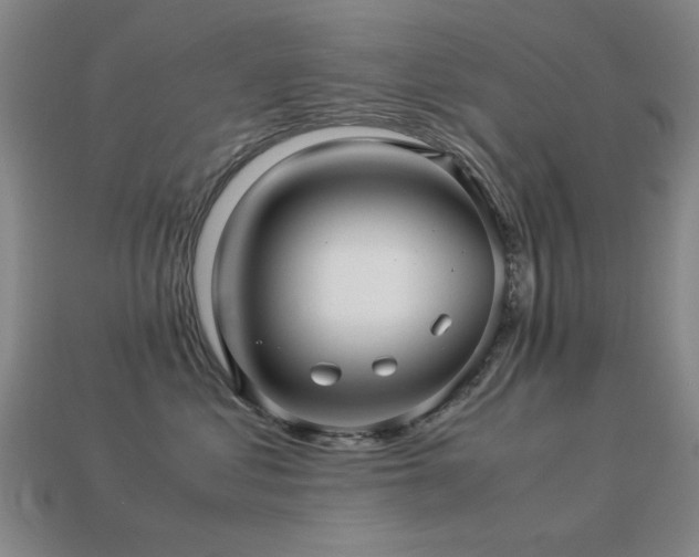 X0000113220621200909101151