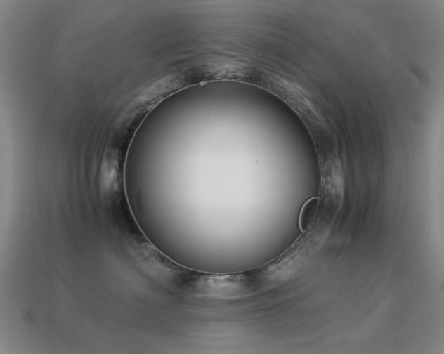 X0000113220622200909101151