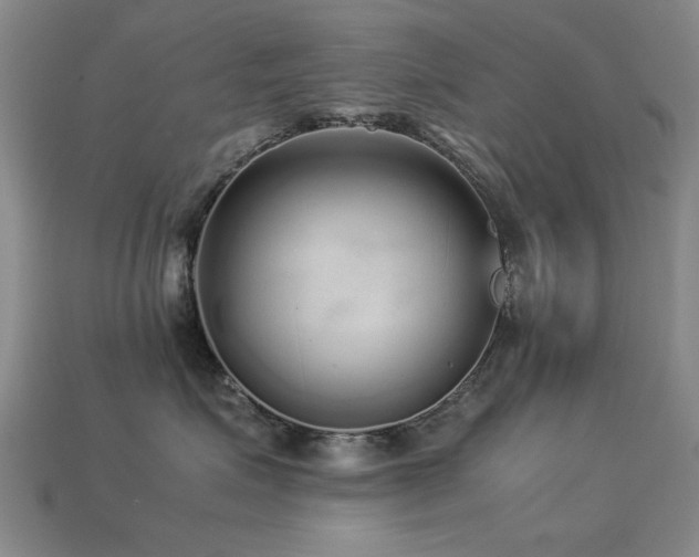 X0000113220623200909101151
