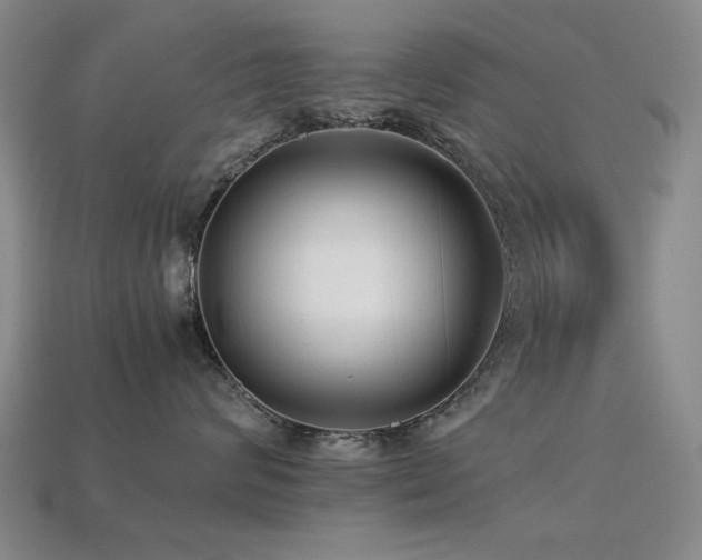 X0000113220624200909101151