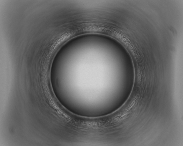 X0000113220625200909101150