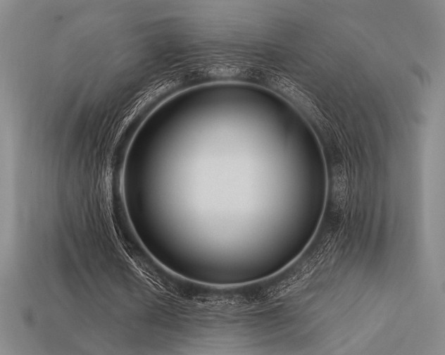 X0000113220626200909101151