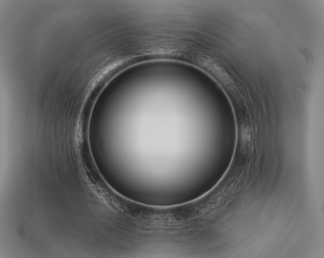 X0000113220628200909101151