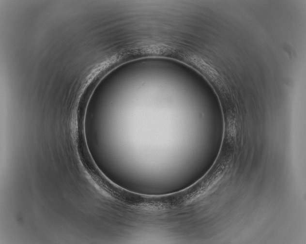 X0000113220630200909101151