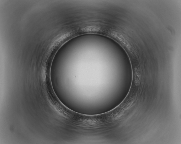 X0000113220631200909101151