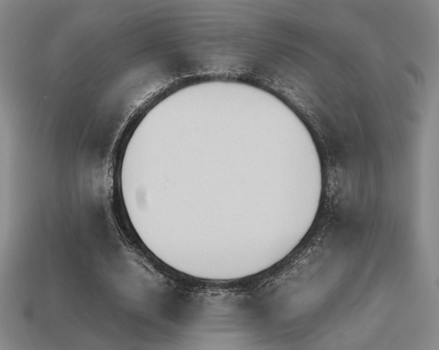 X0000113220632200909101151