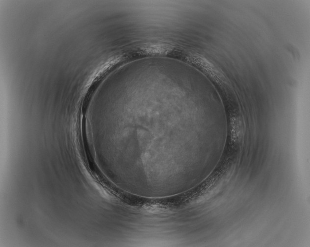 X0000113220634200909101151