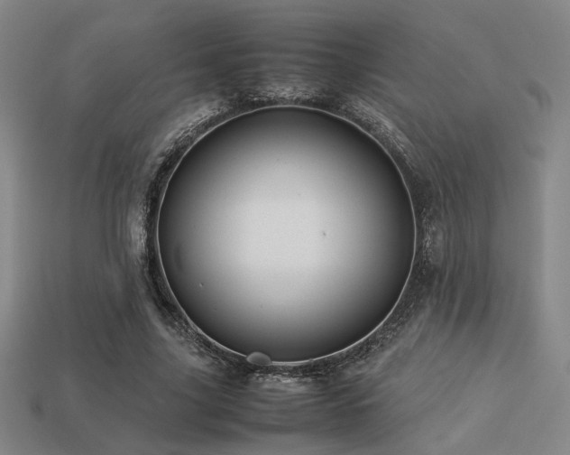 X0000113220635200909101151