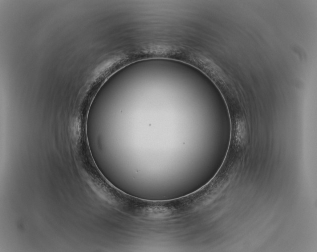 X0000113220636200909101151