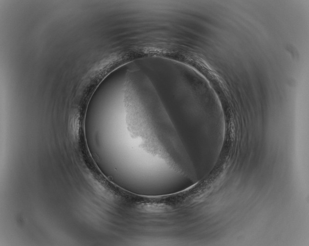 X0000113220637200909101151