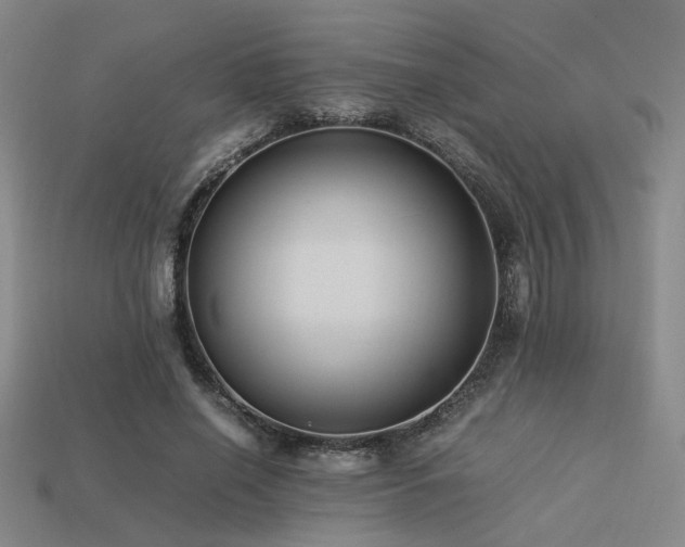 X0000113220638200909101151