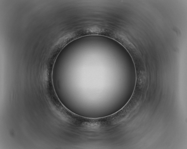 X0000113220639200909101151