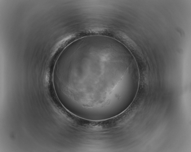 X0000113220640200909101151