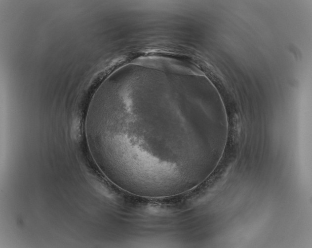 X0000113220641200909101151