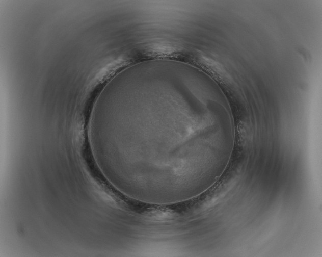 X0000113220642200909101151