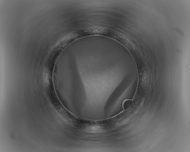 X0000113220643200909101151