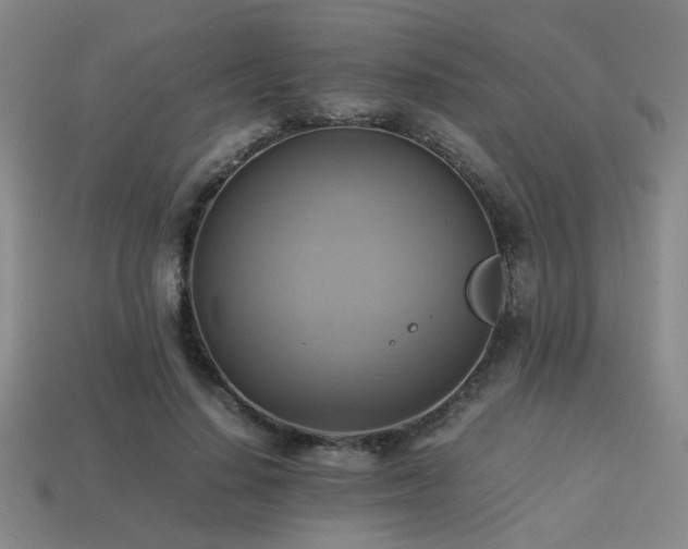 X0000113220644200909101151